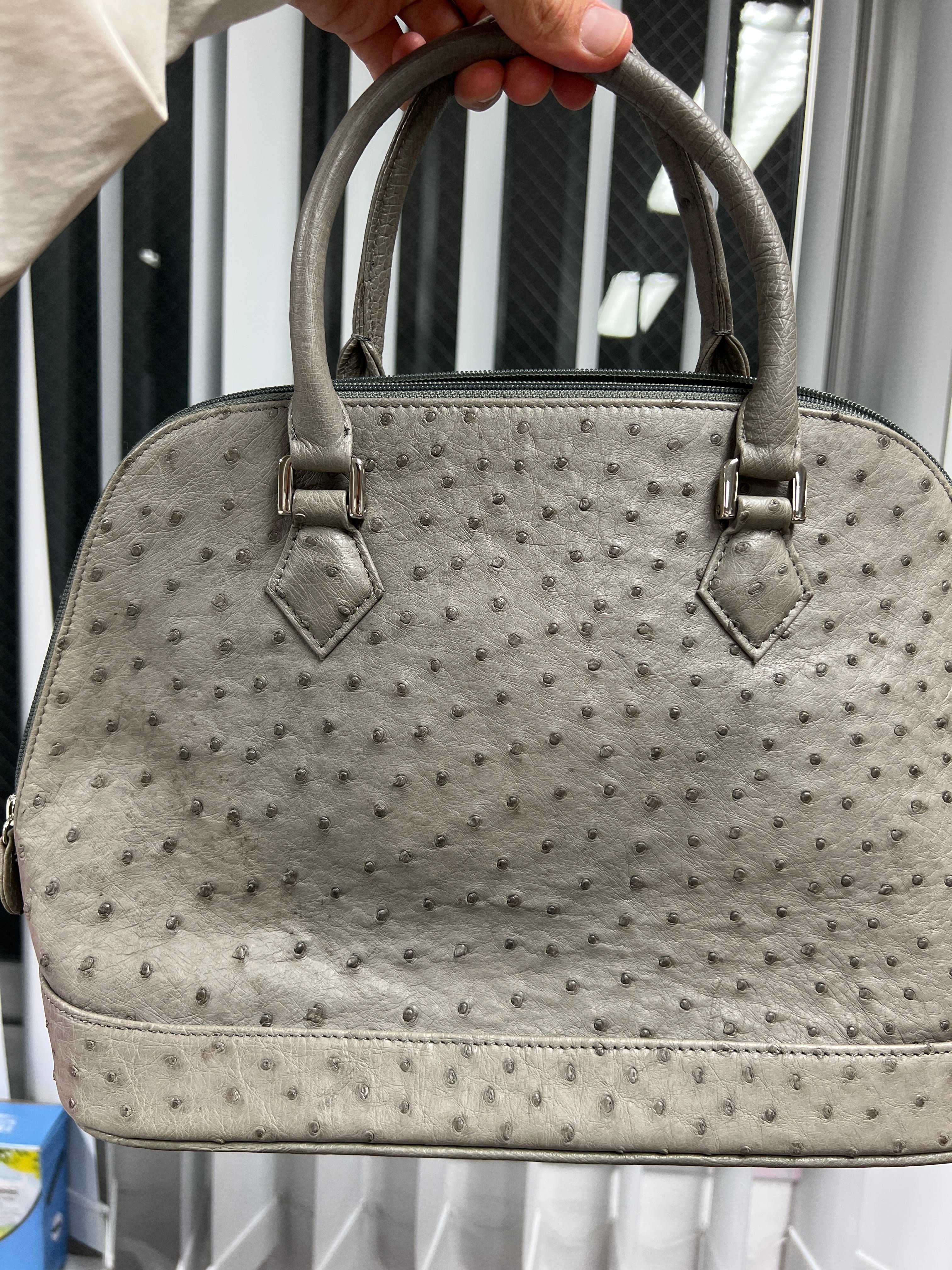 Nursepalmer84-Ostrich Alma-jp