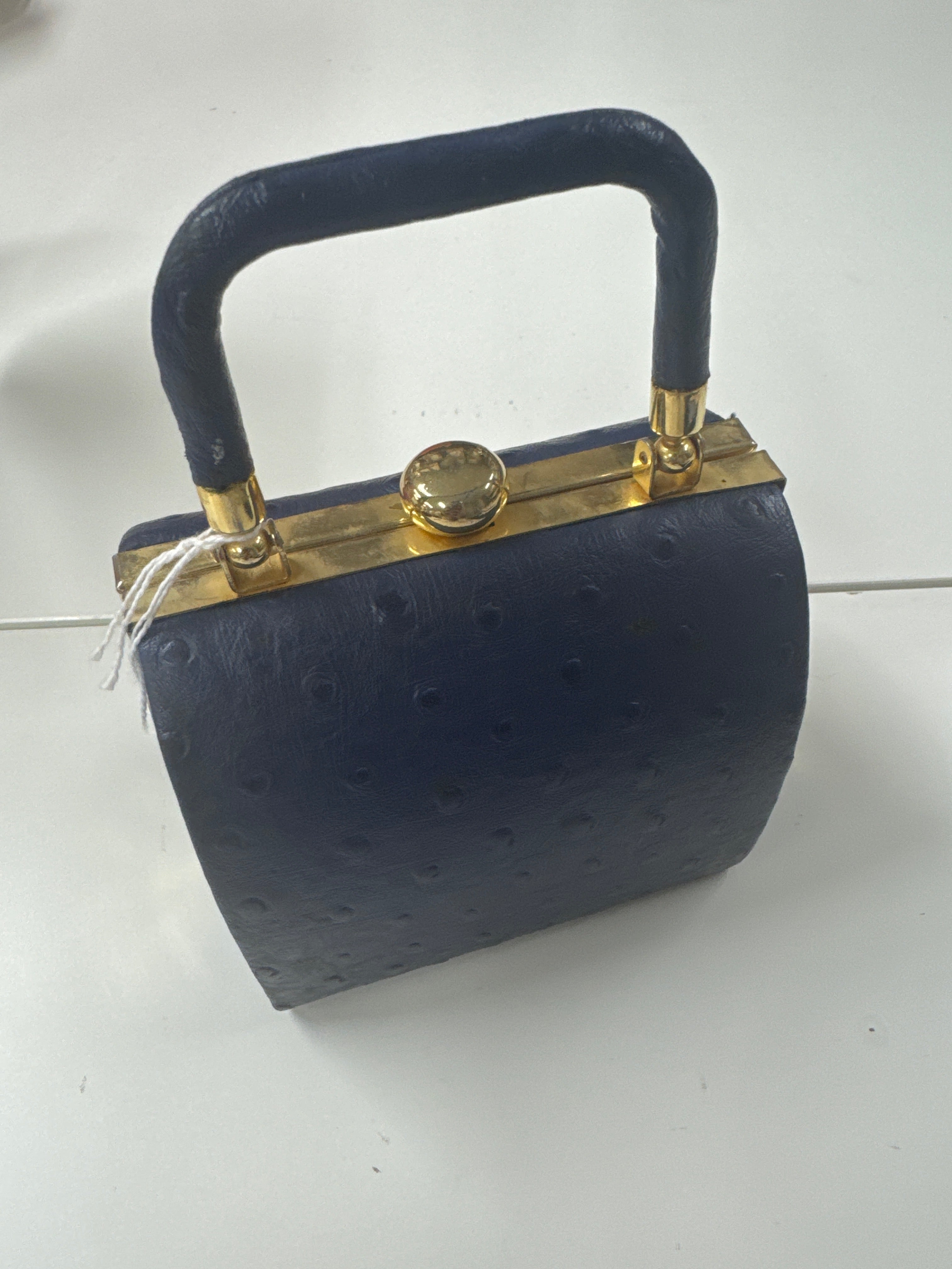 Anu_kaw_xx_Blue ostrich mini bag_JP