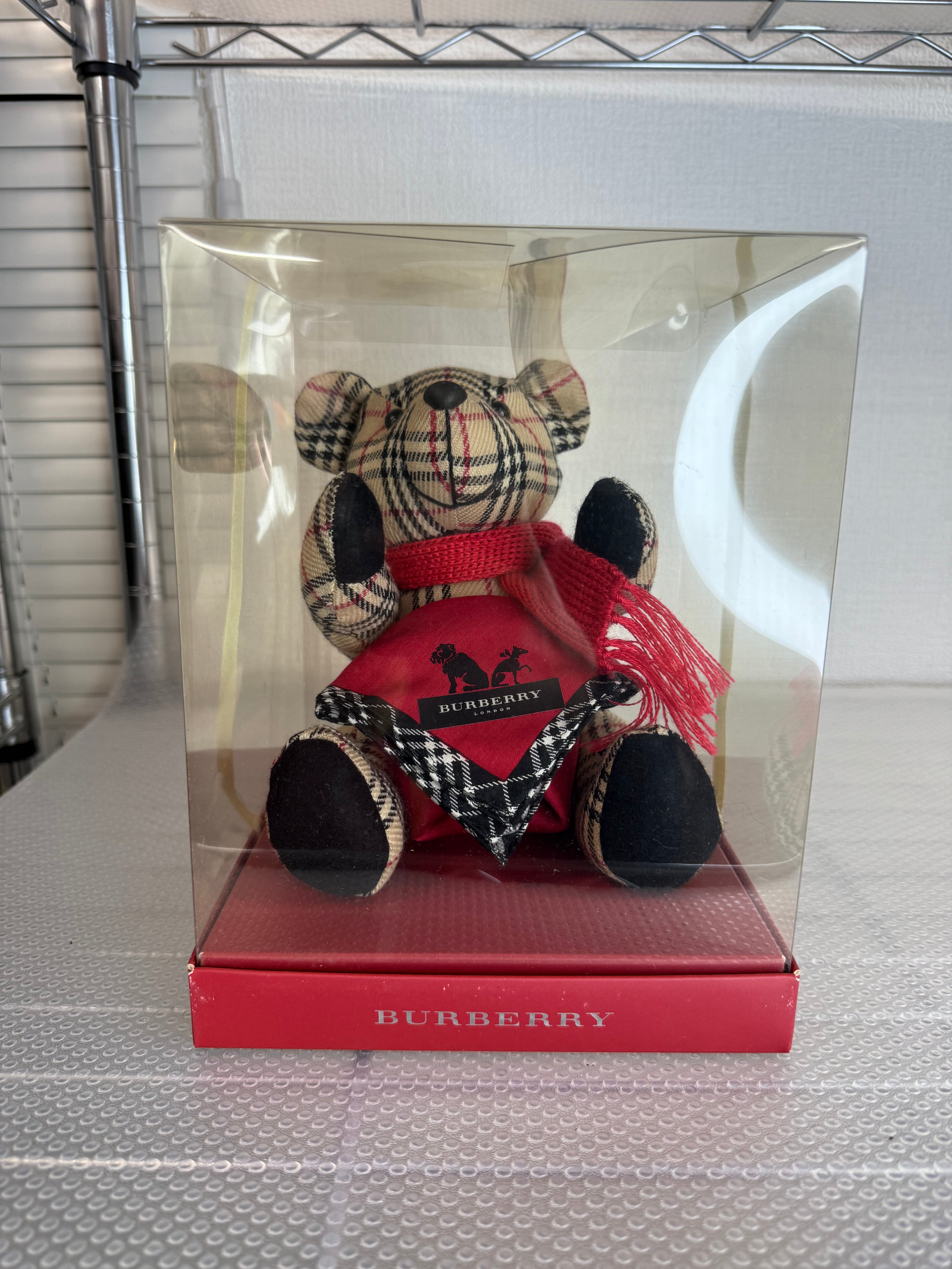 ani_nguyen00_burberryteddy2_JP