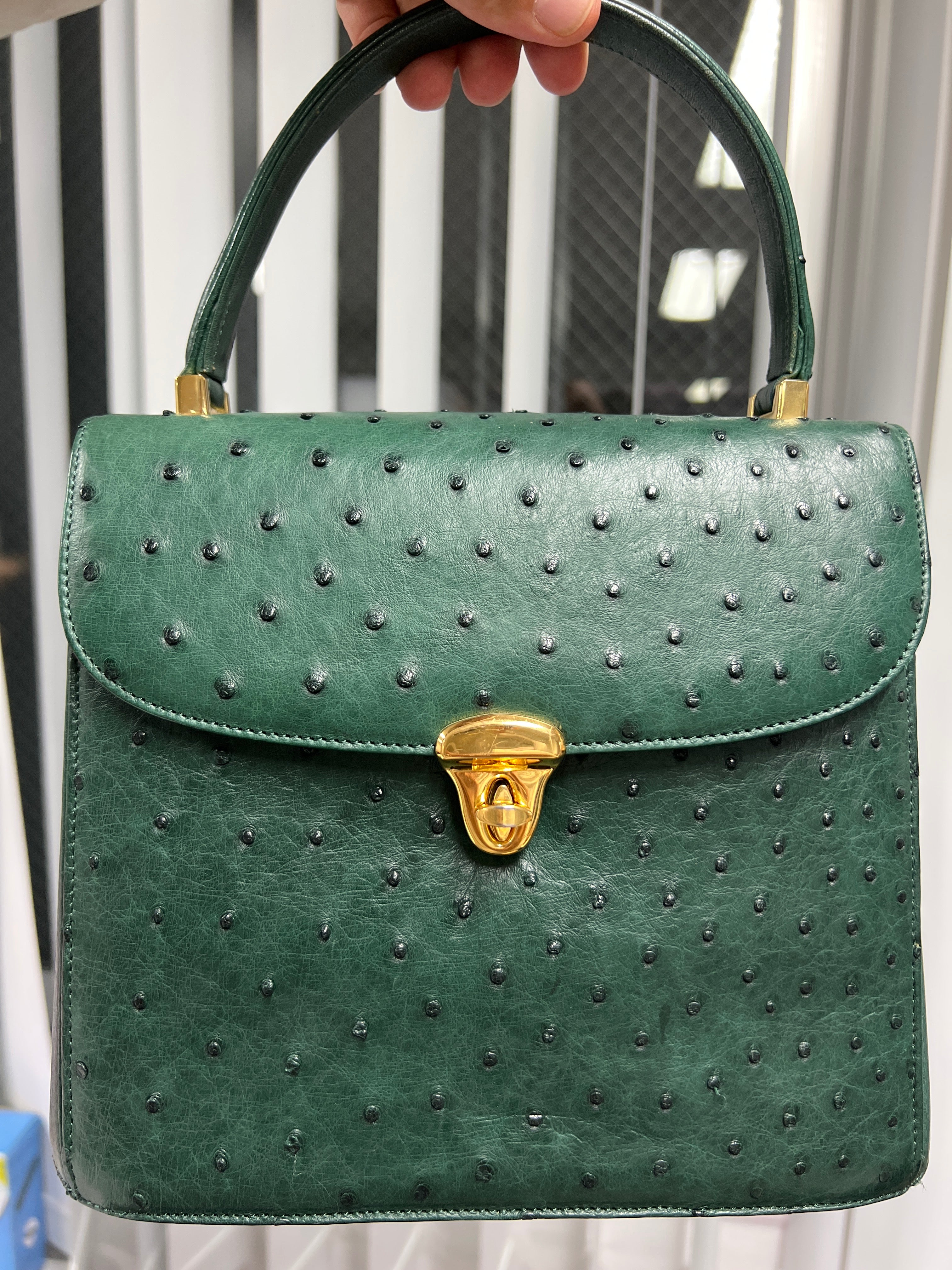 Sicillian_666-JRA ostrich-jp