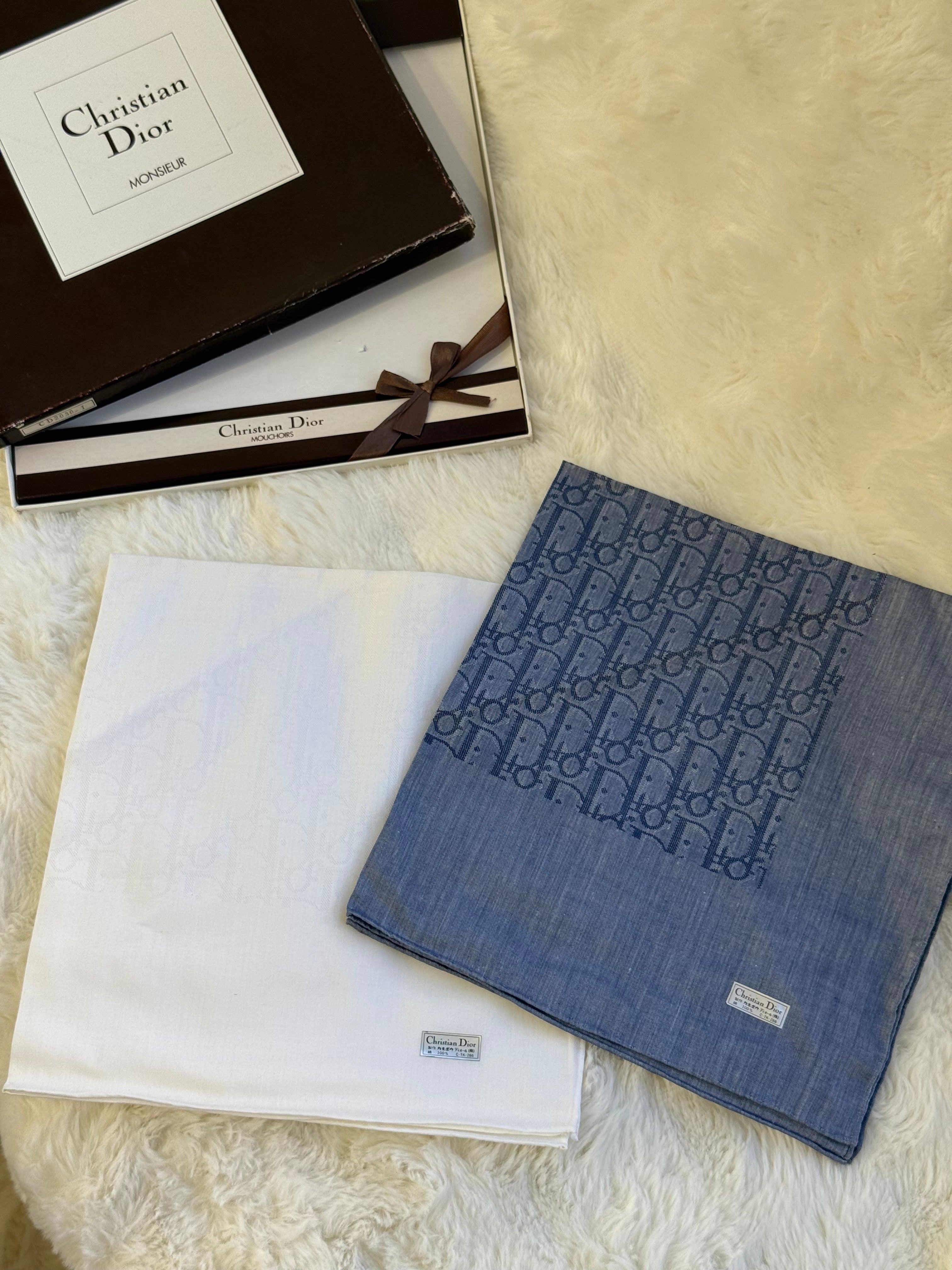 biancateresa_au_dior_JP