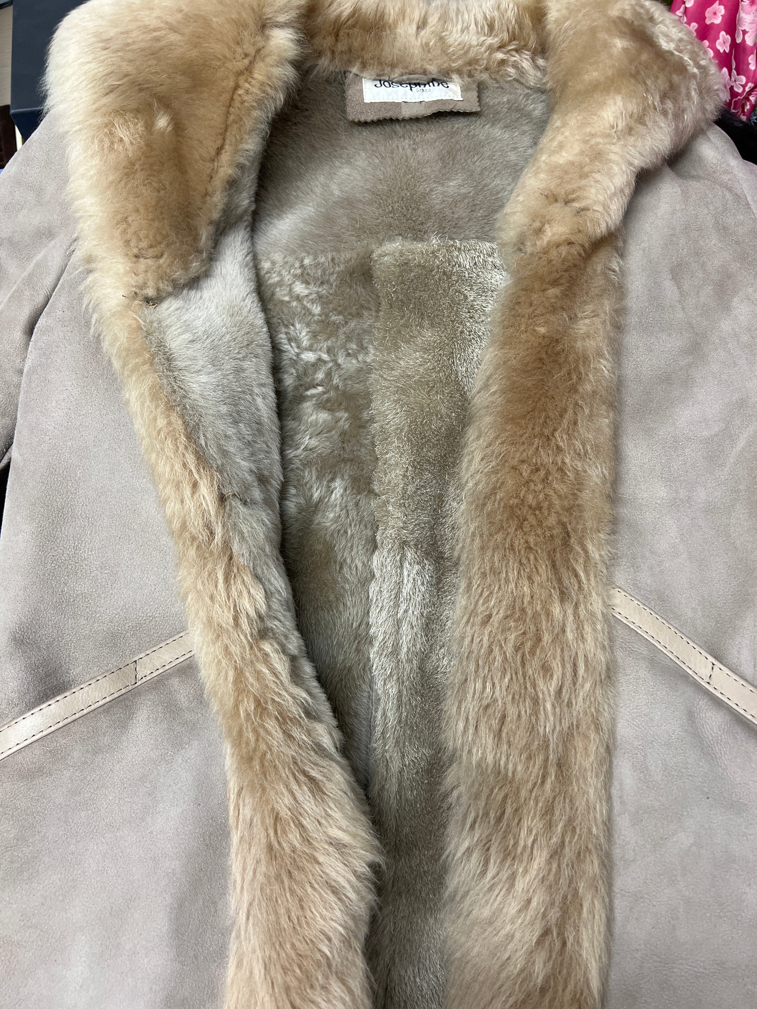 Abilambino-beige coat sheep-jp