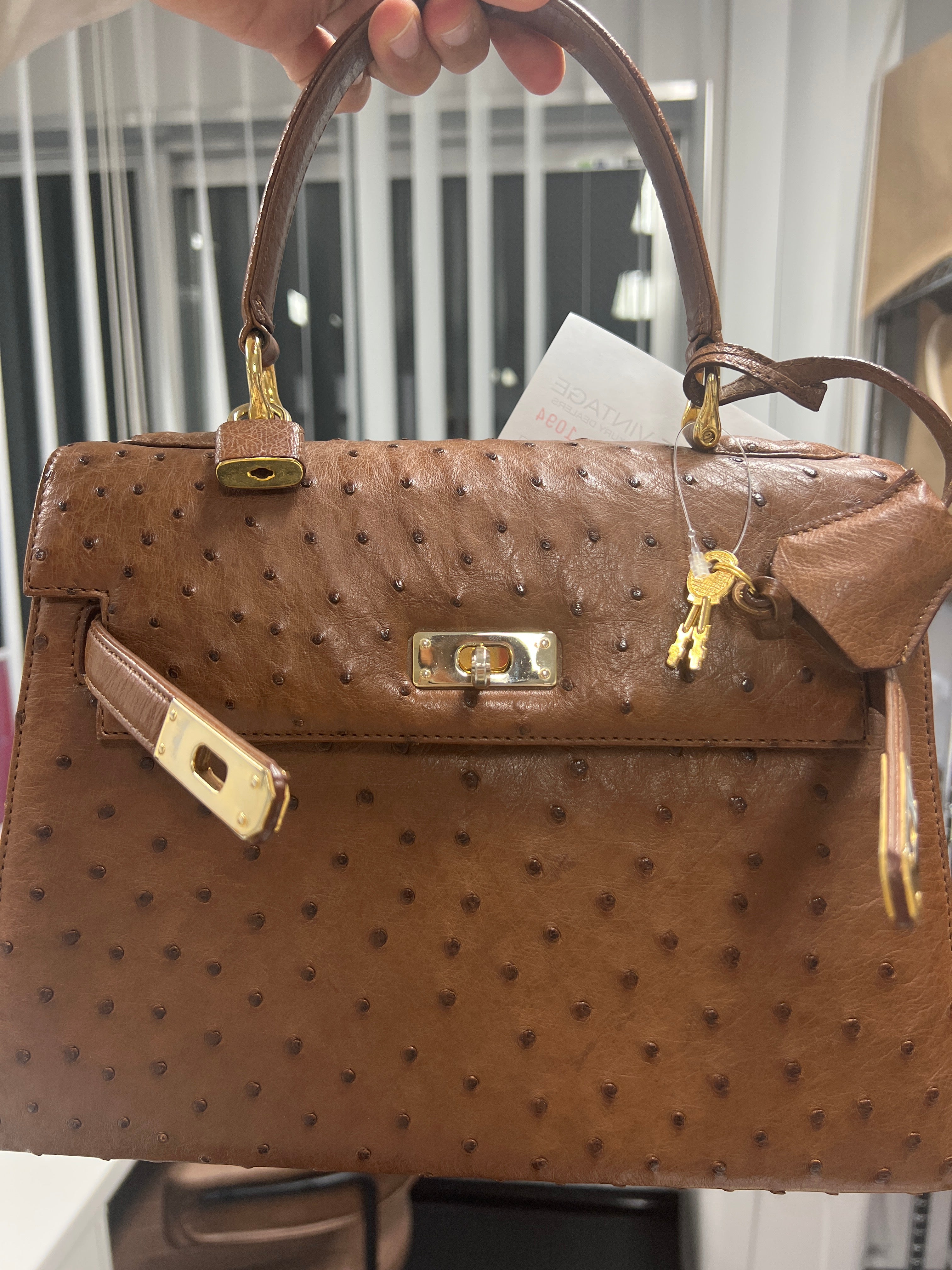 _annettes_JRA ostrich Kelly-jp