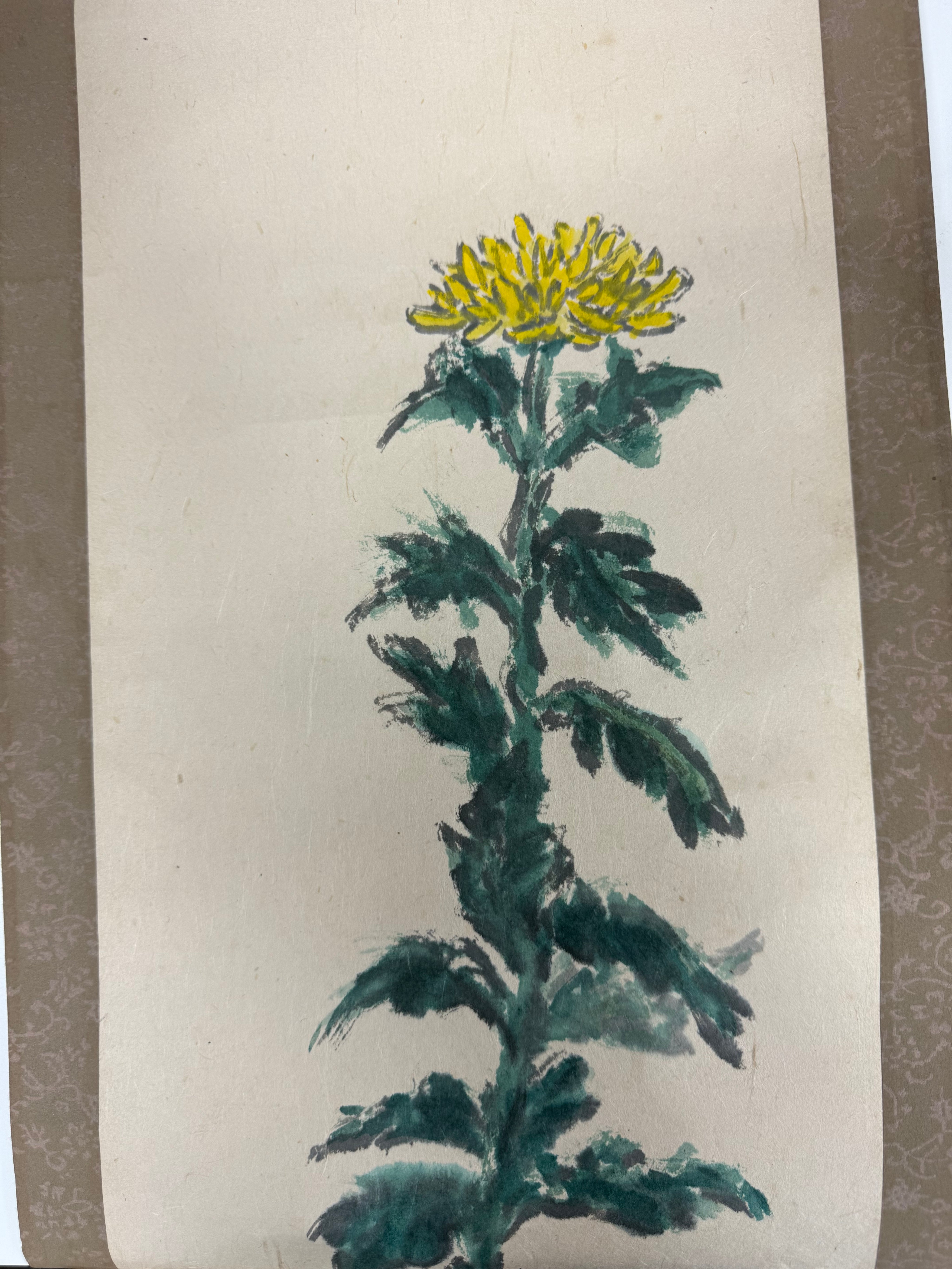 Suzi_stanton yellow flower JP