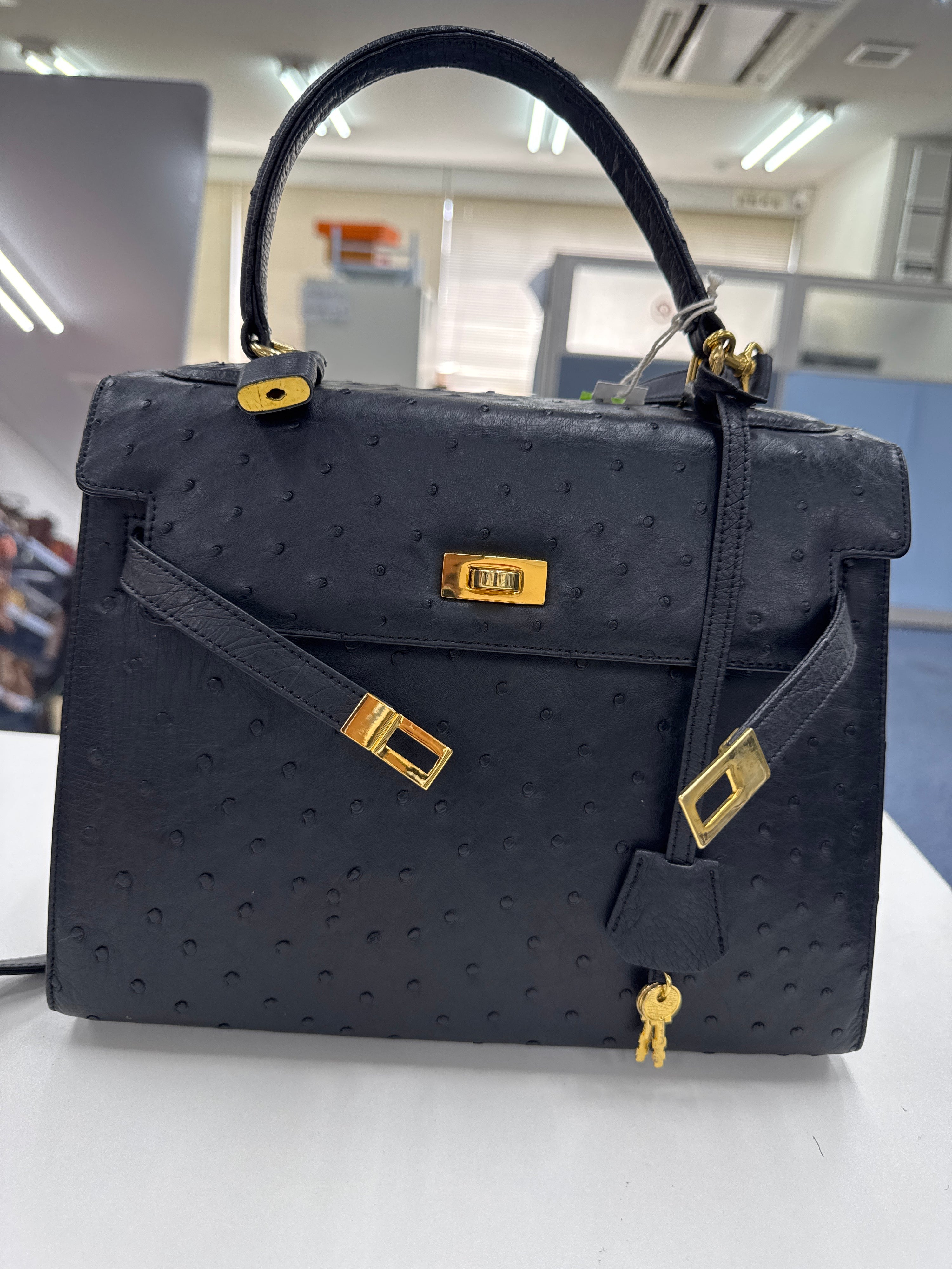 fatma_a.abdo Black ostrich JP