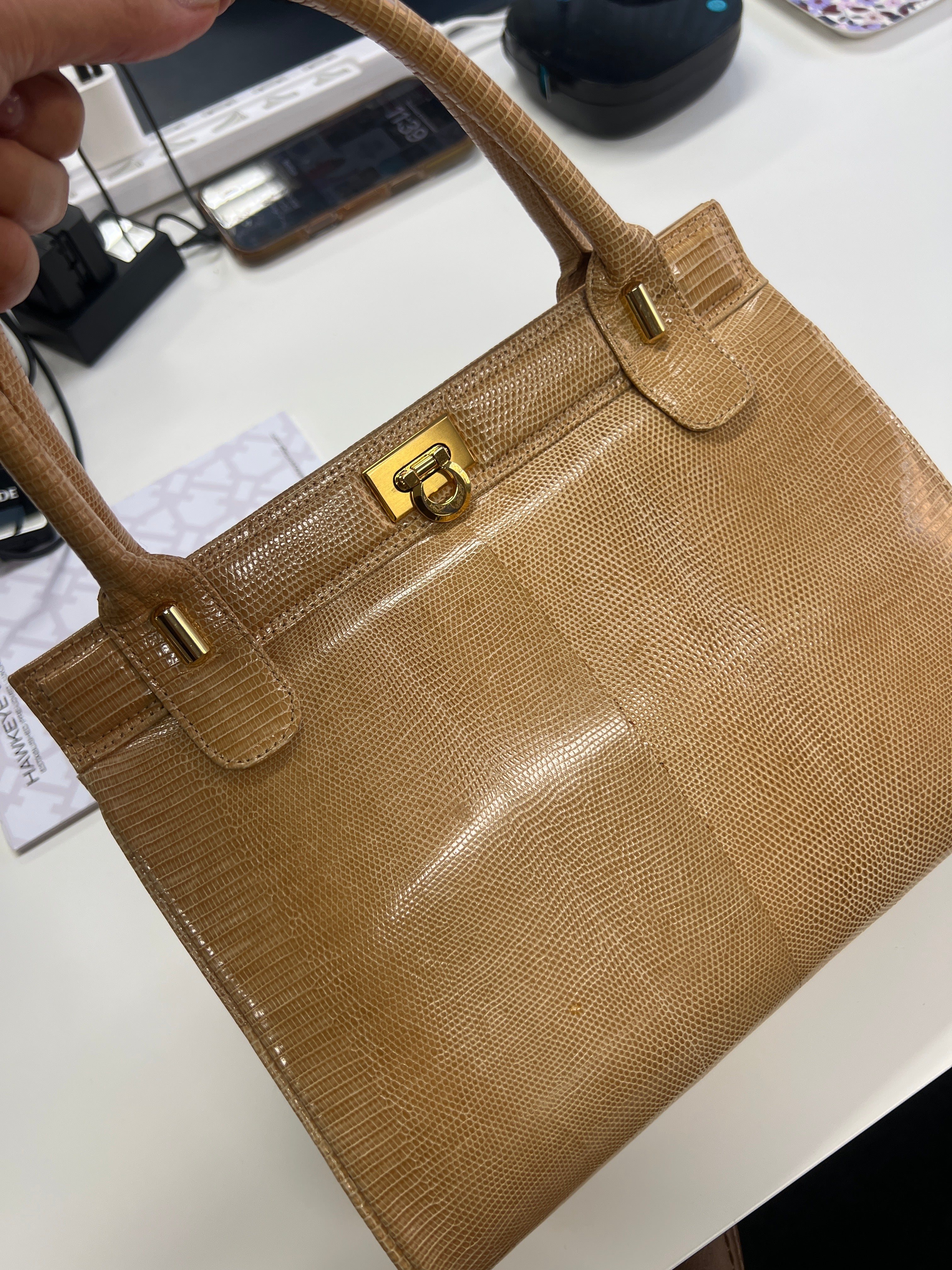 Sara.betar_lizard JRA_JP