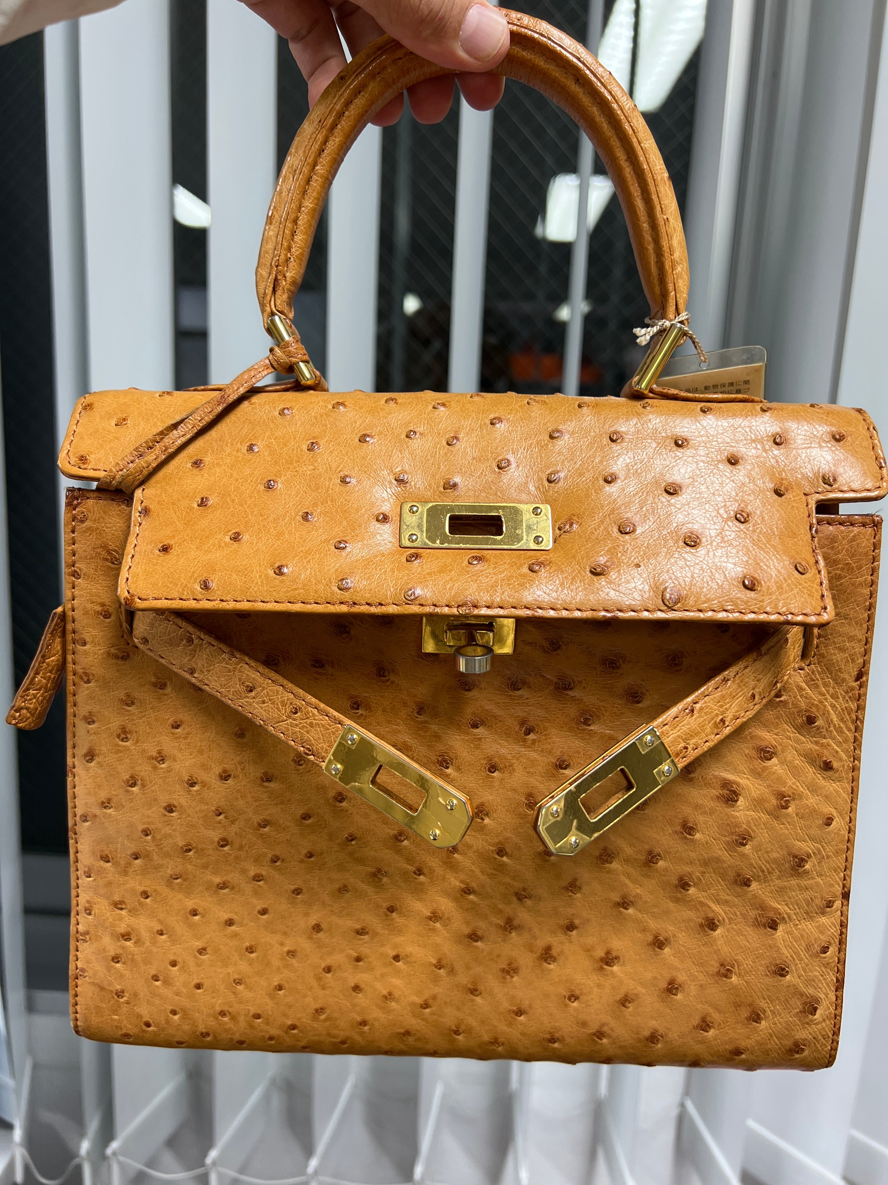 Sicillian_666-JRA ostrich beige-jp