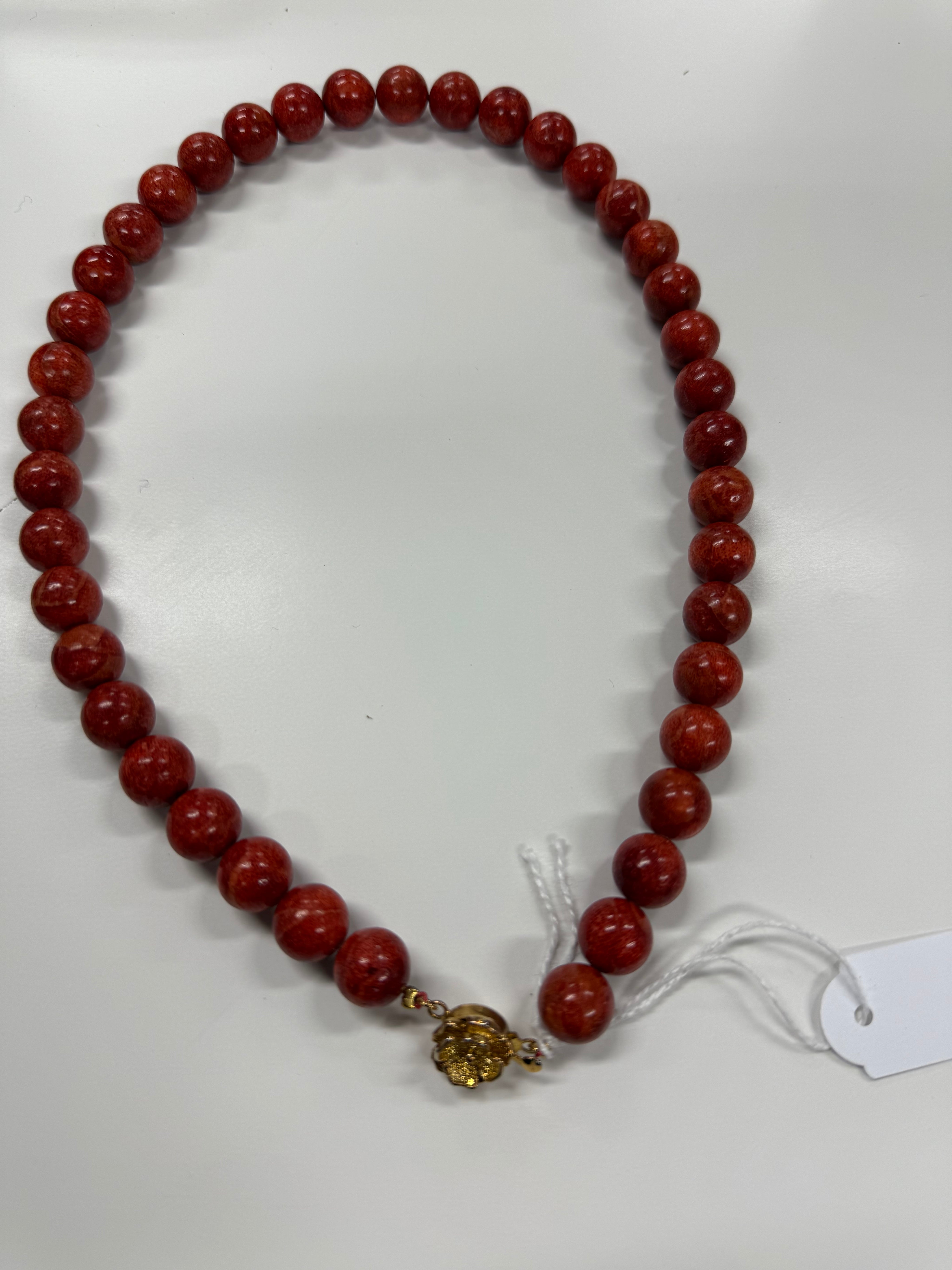 sepideh_beny_coral_JP