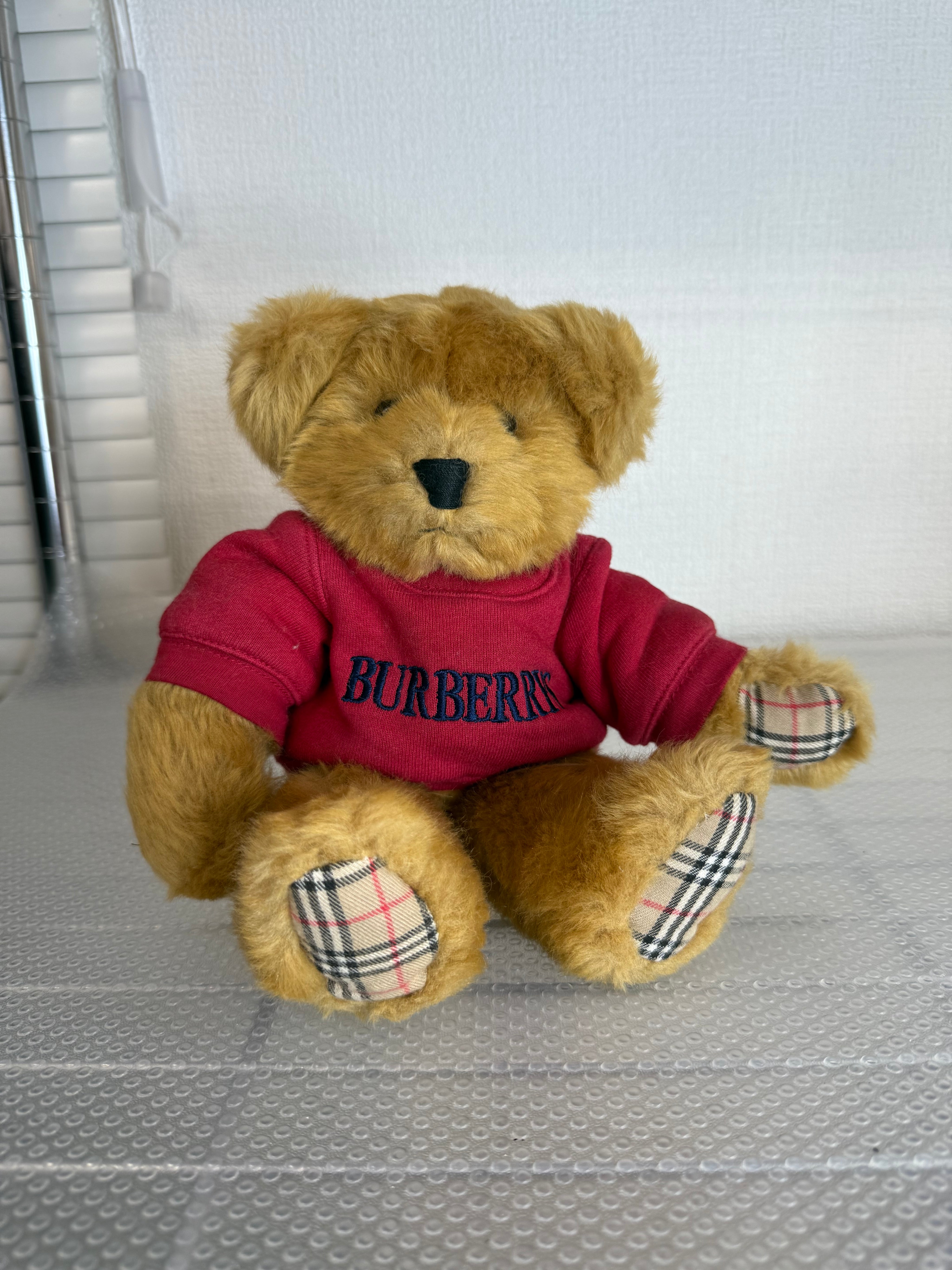 ani_nguyen00_burberryteddy_JP