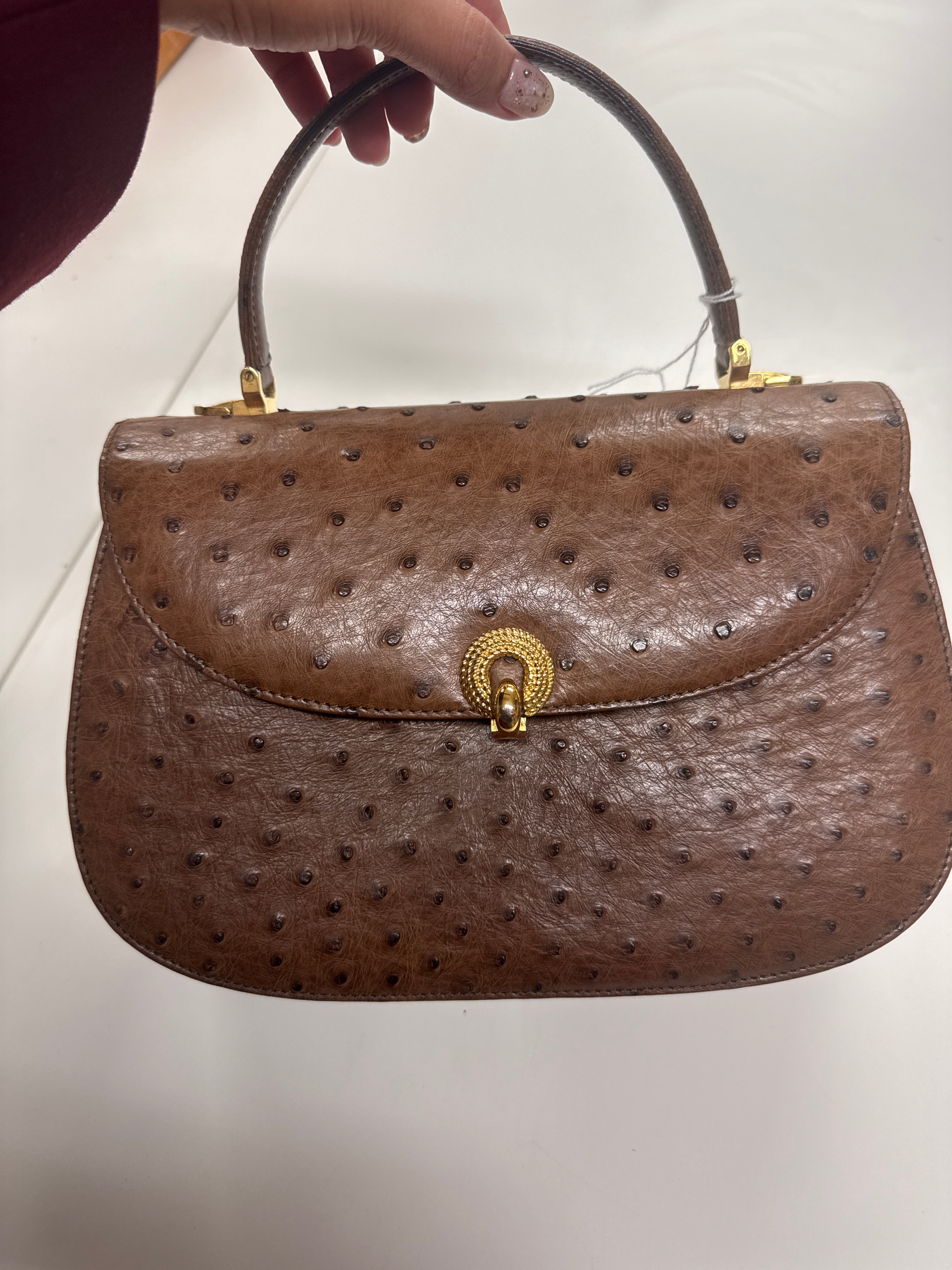 Primedelight_JRA brown ostrich_JP