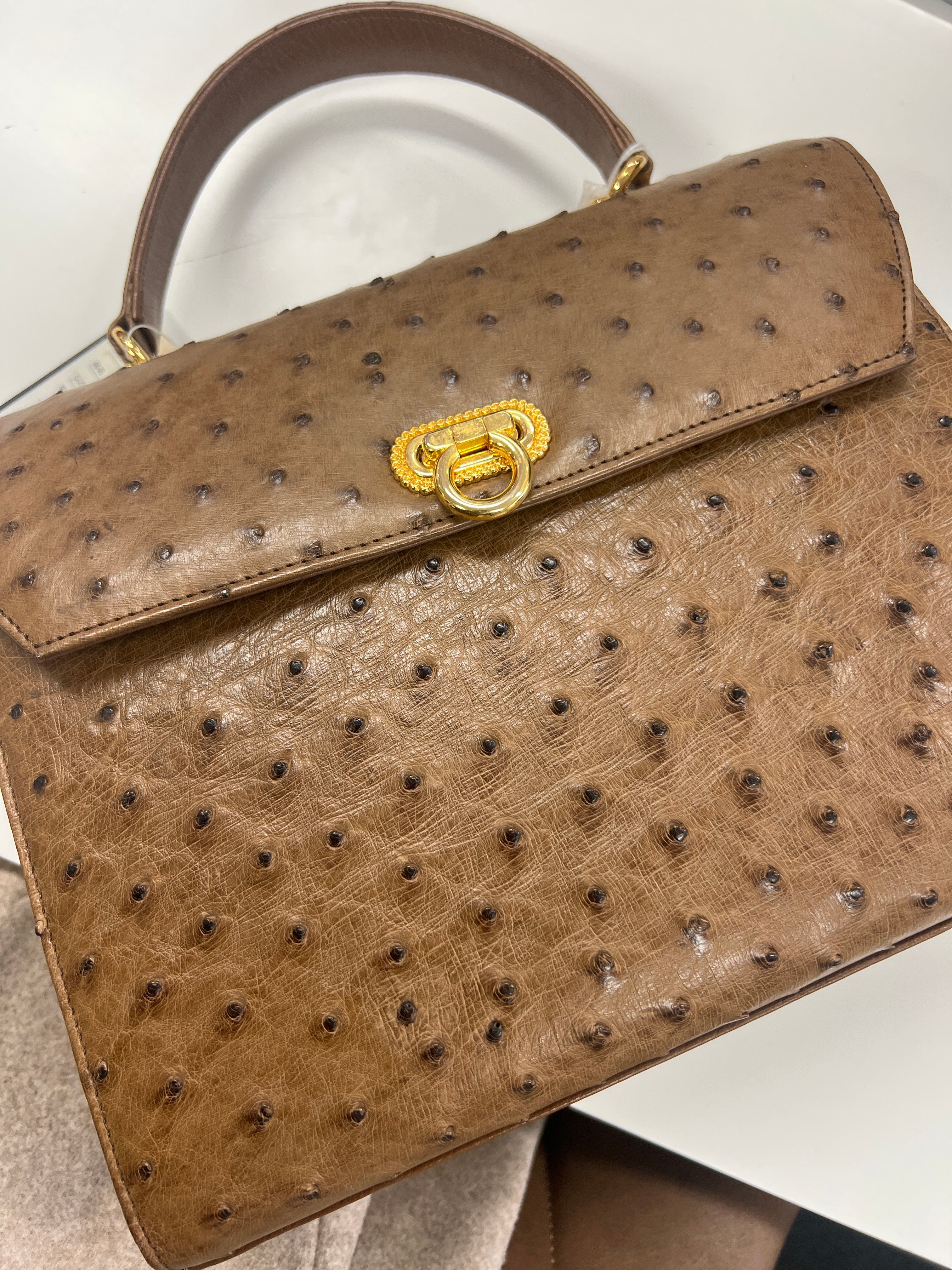 M3lmoo_Jra brown ostrich_JP