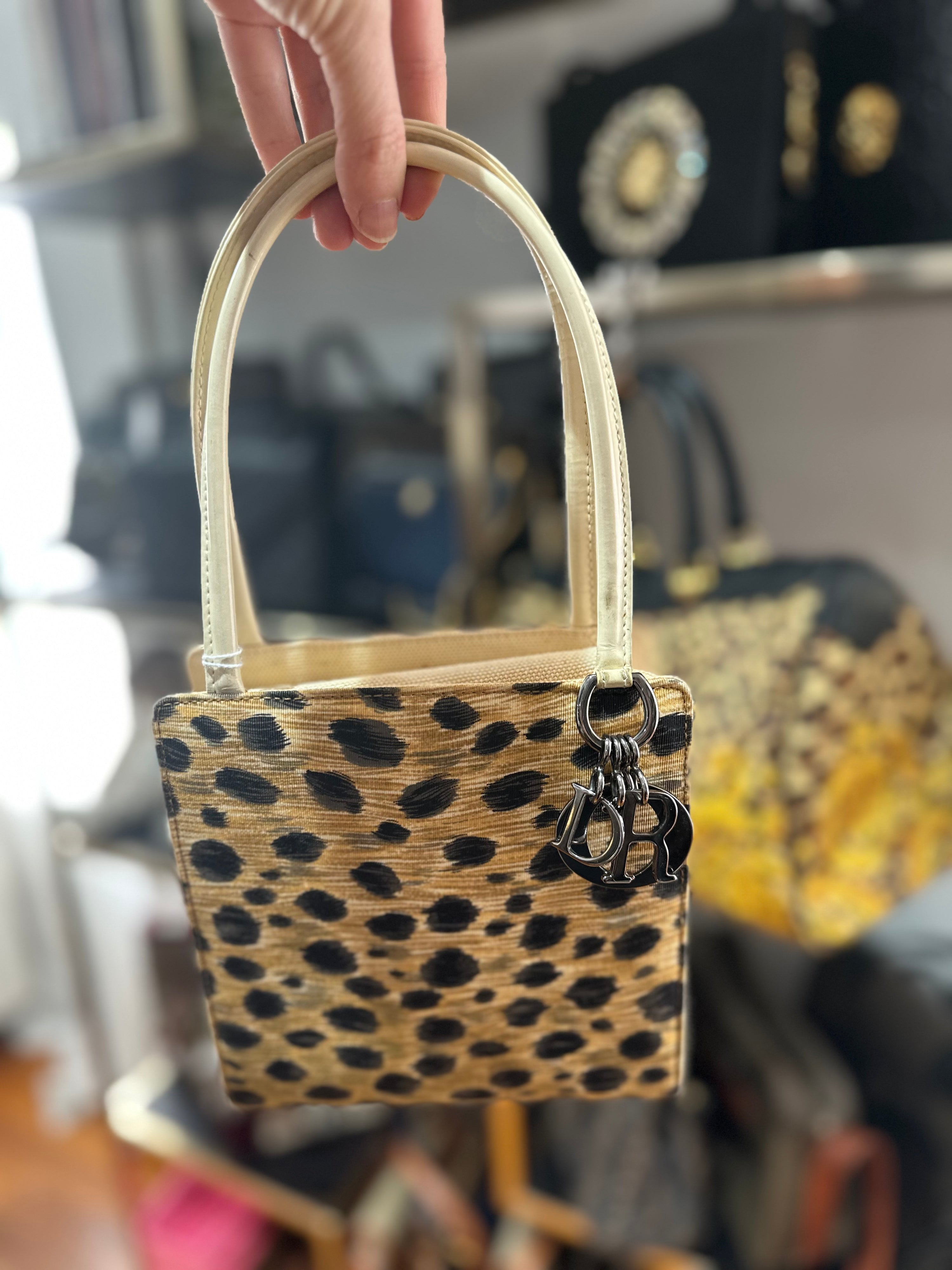 Christian Dior Mini Leopard Tote