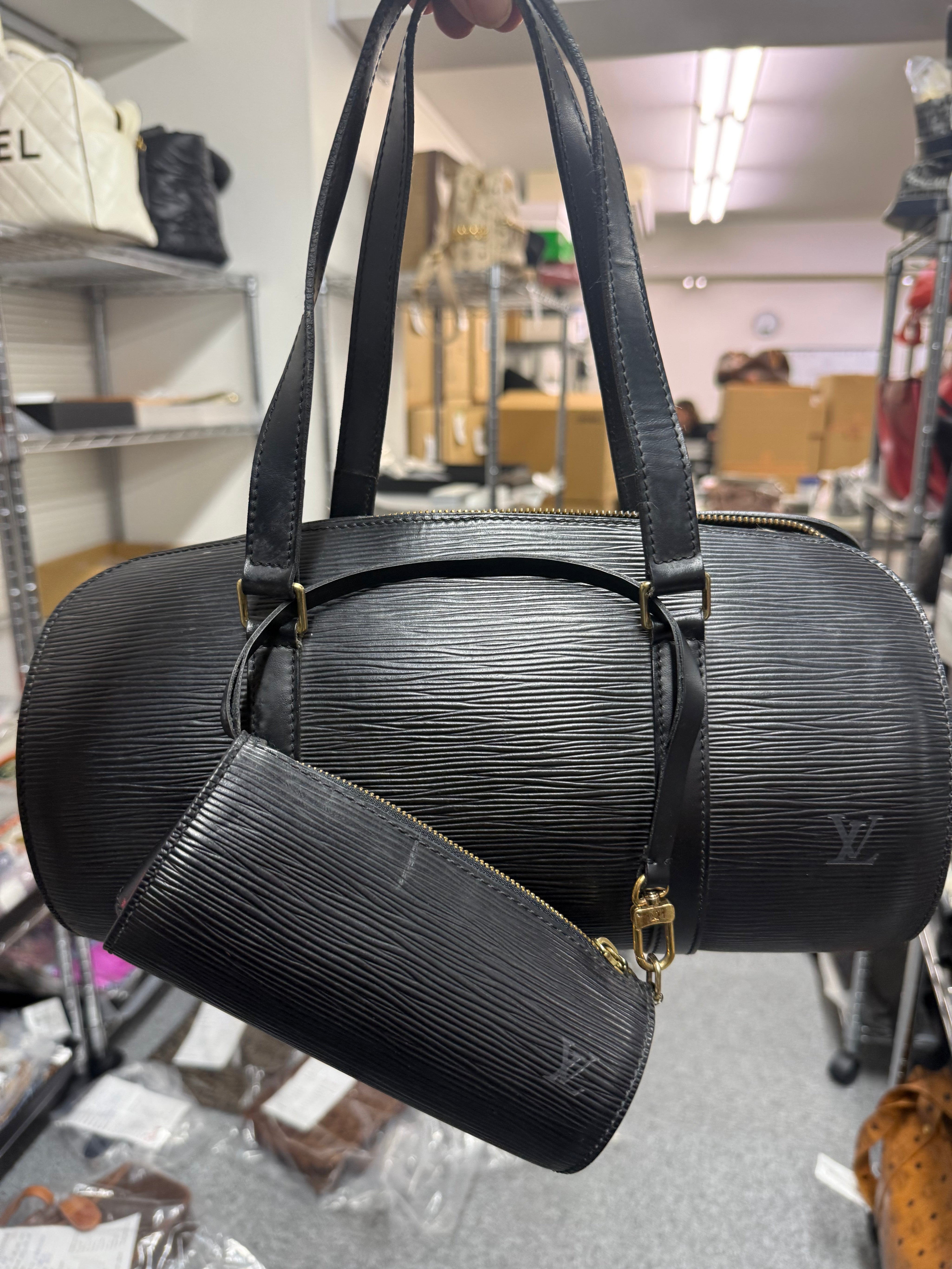 maggs_l__LV papillion•Jp