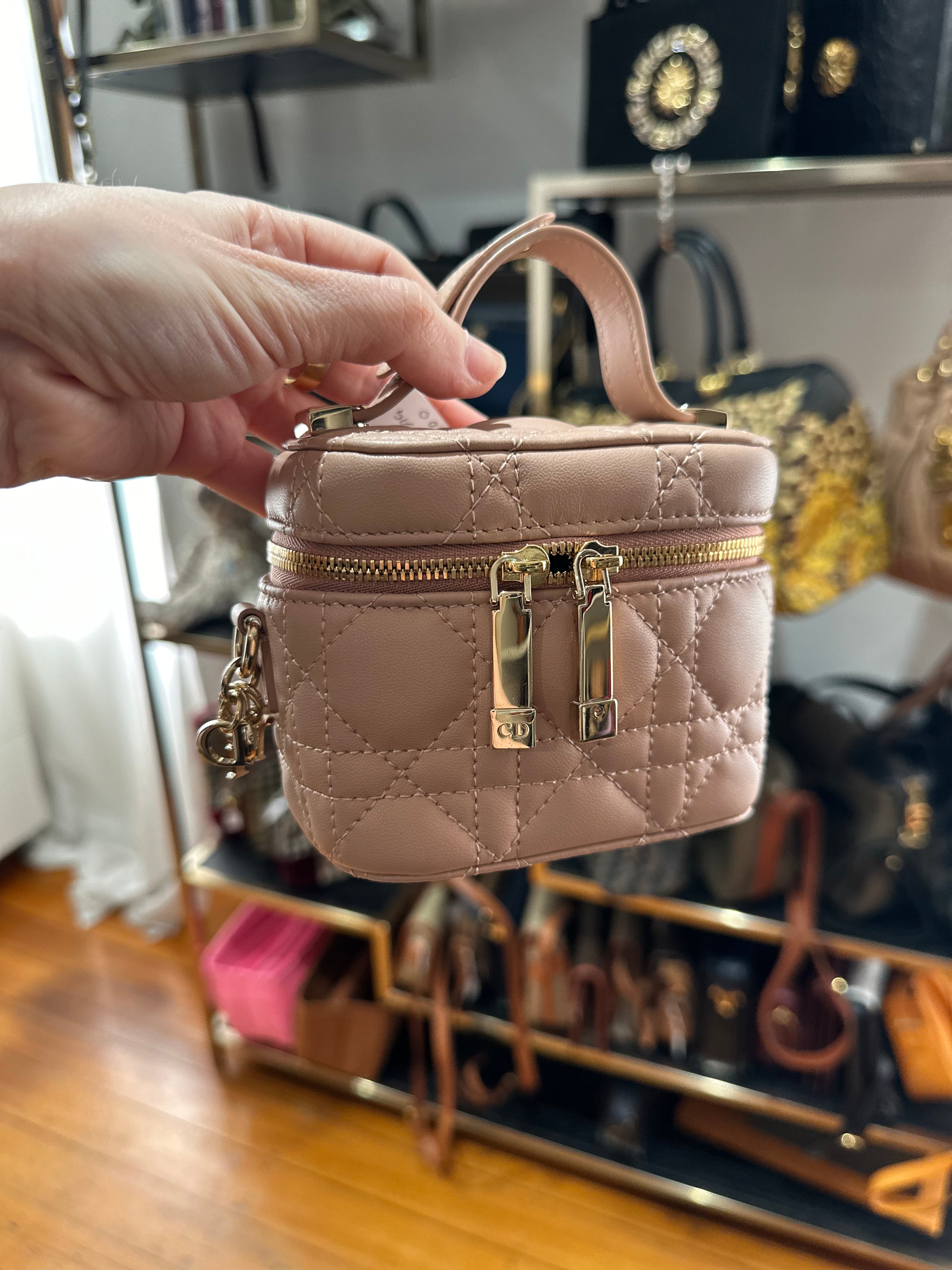 Dior Carnage Micro Vanity Shoulder Bag