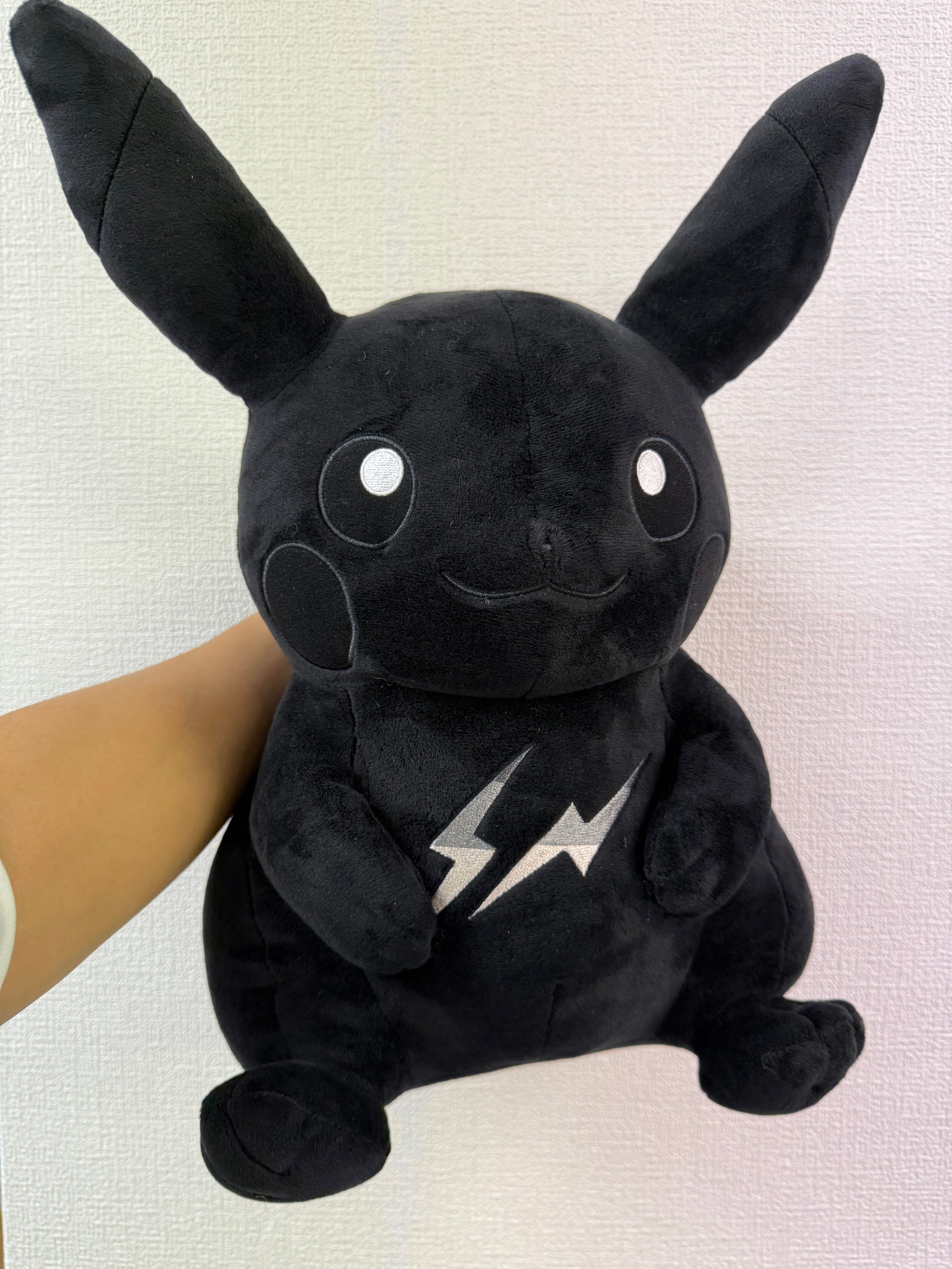 ani_nguyen00_pikachu_JP