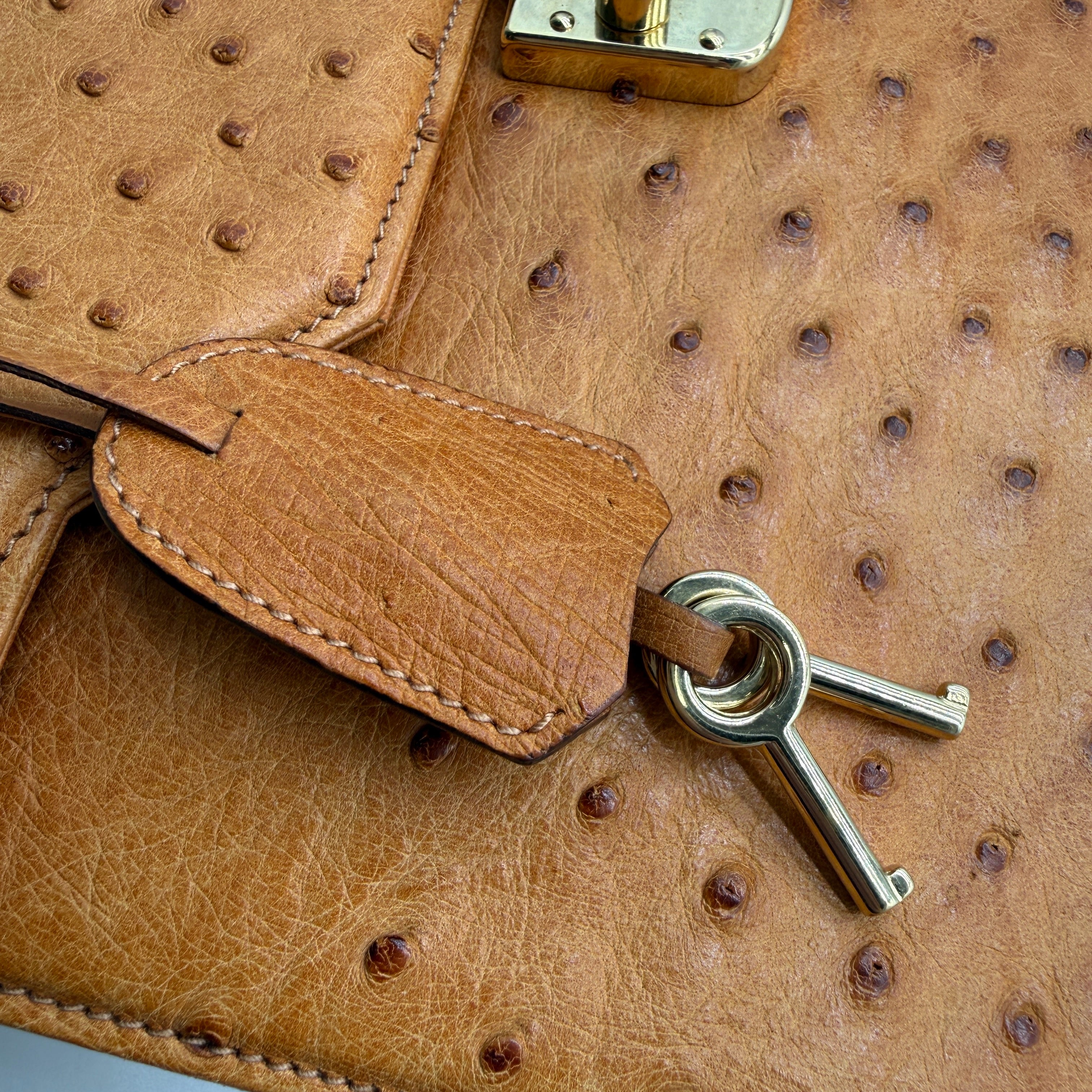 Gucci | Ostrich Kelly-Style Bag | Top Handle | Gold-Tone Lock (30cm)