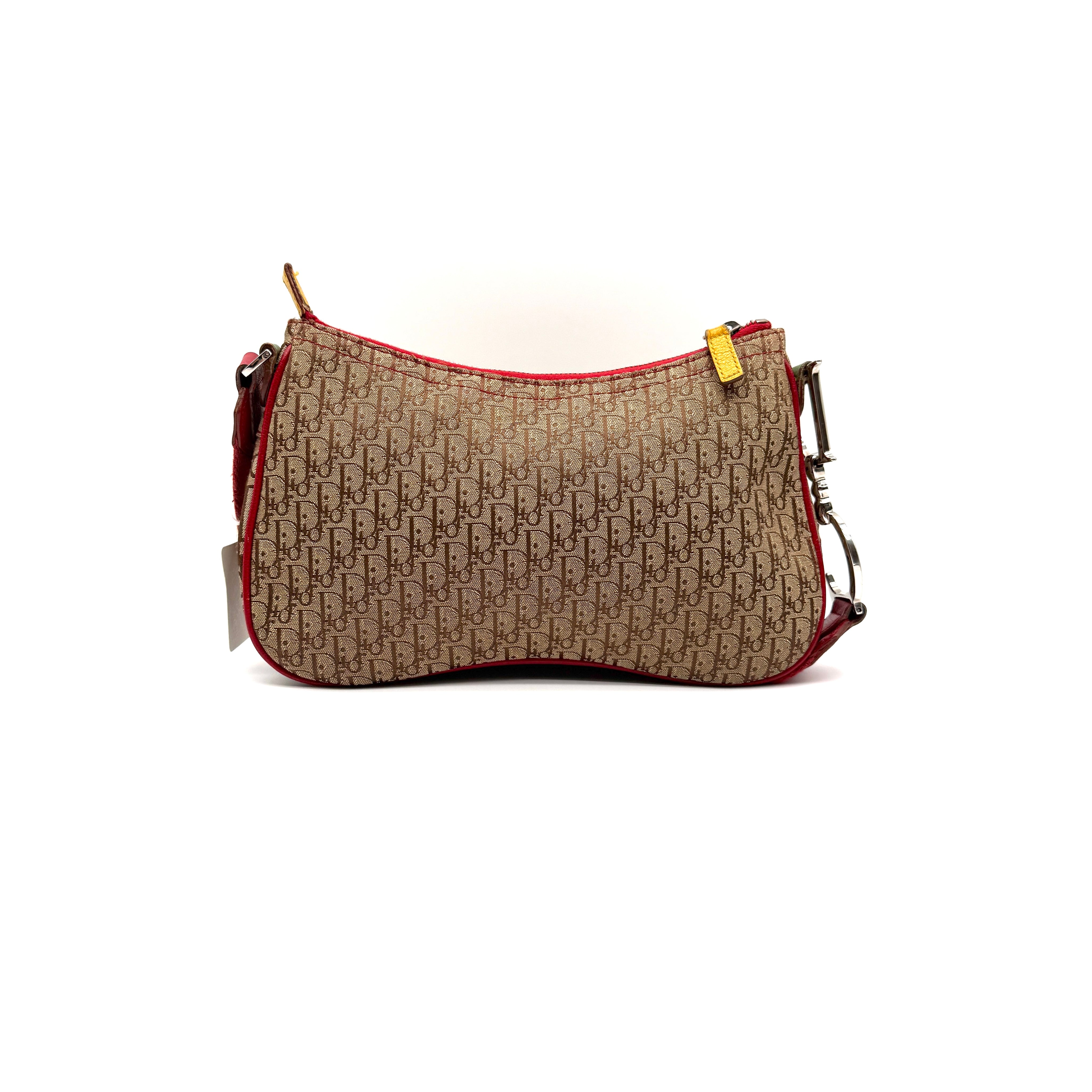 Christian Dior | Saddle Bag | Rasta Trotter Canvas | Silver-Tone Hardware