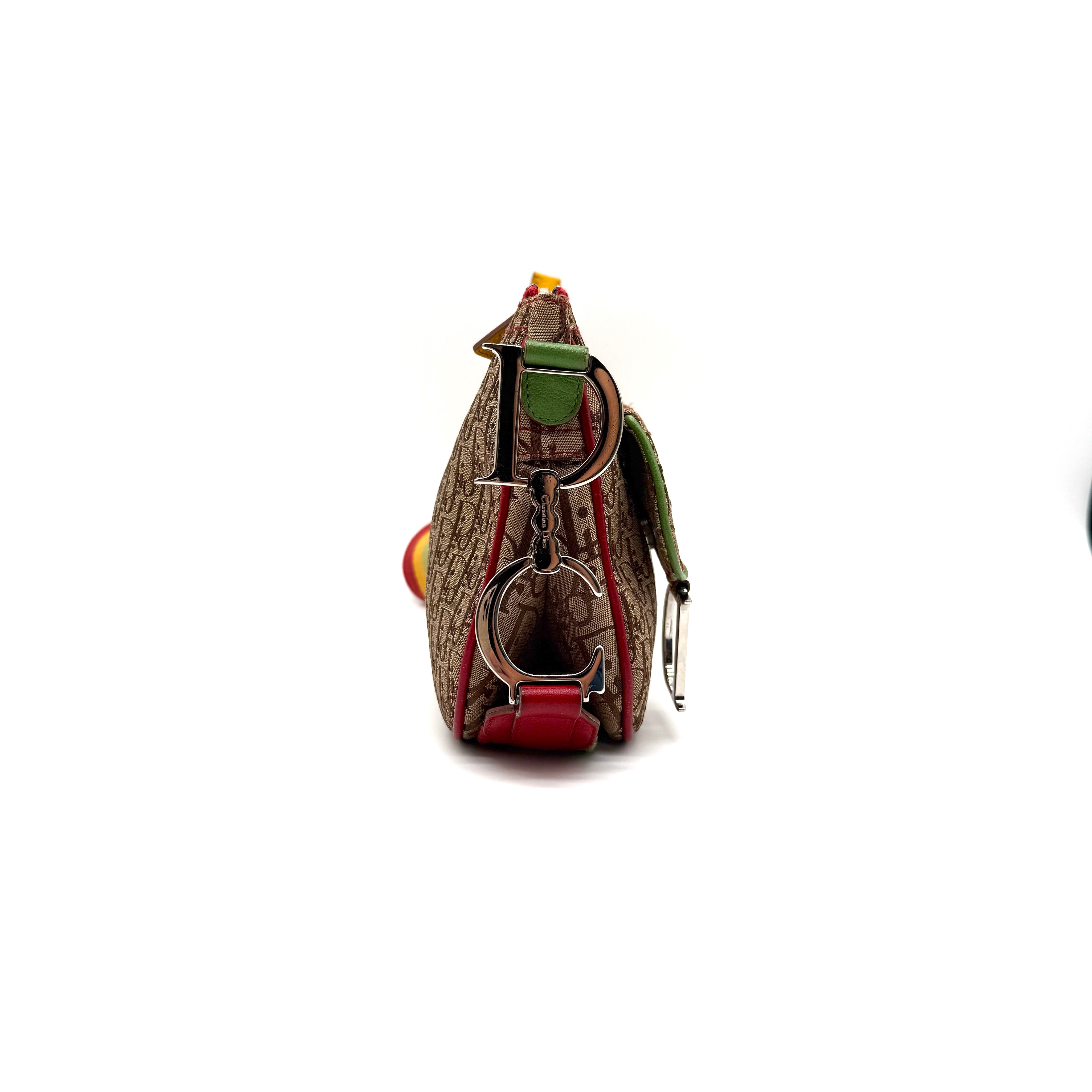 Christian Dior | Saddle Bag | Rasta Trotter Canvas | Silver-Tone Hardware