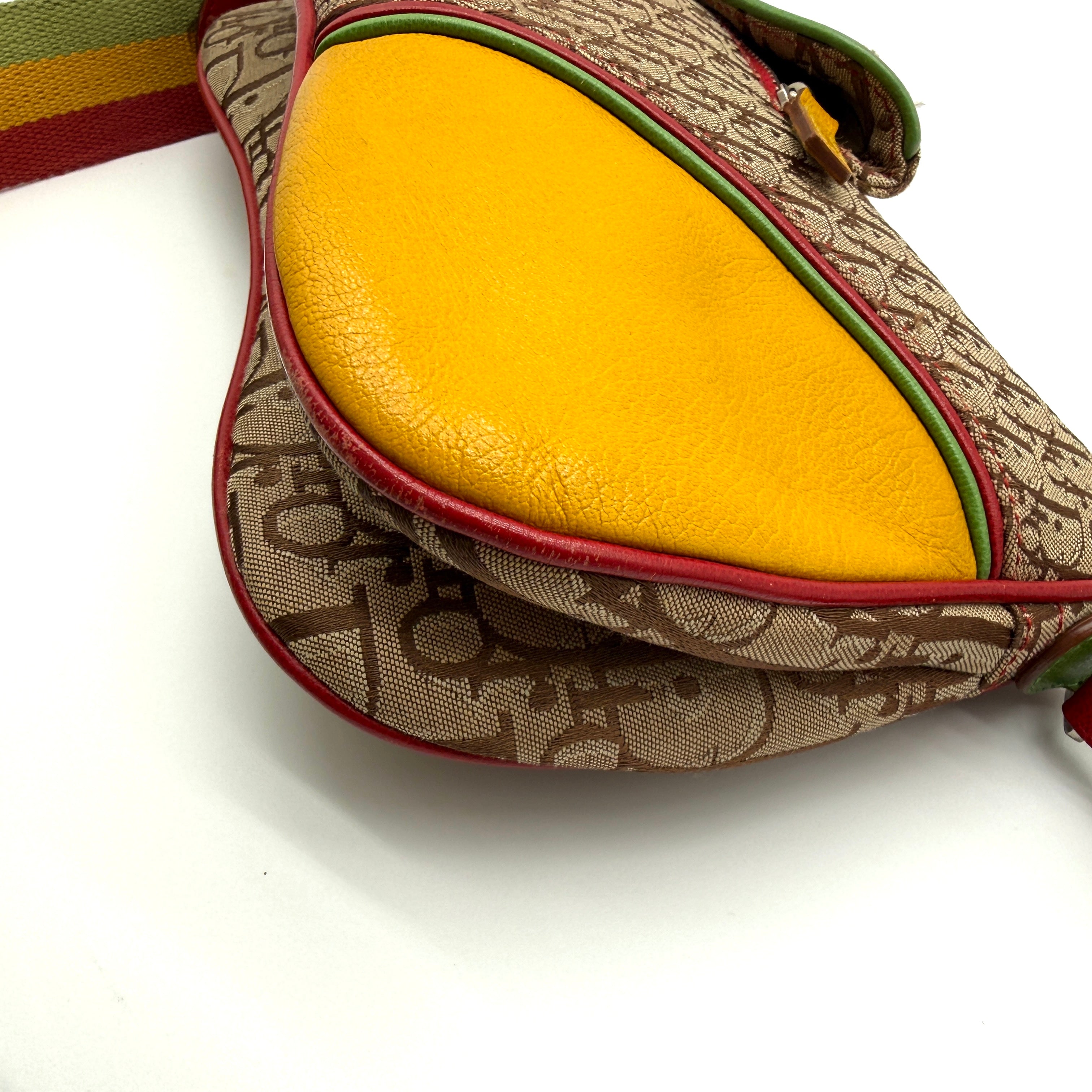 Christian Dior | Saddle Bag | Rasta Trotter Canvas | Silver-Tone Hardware
