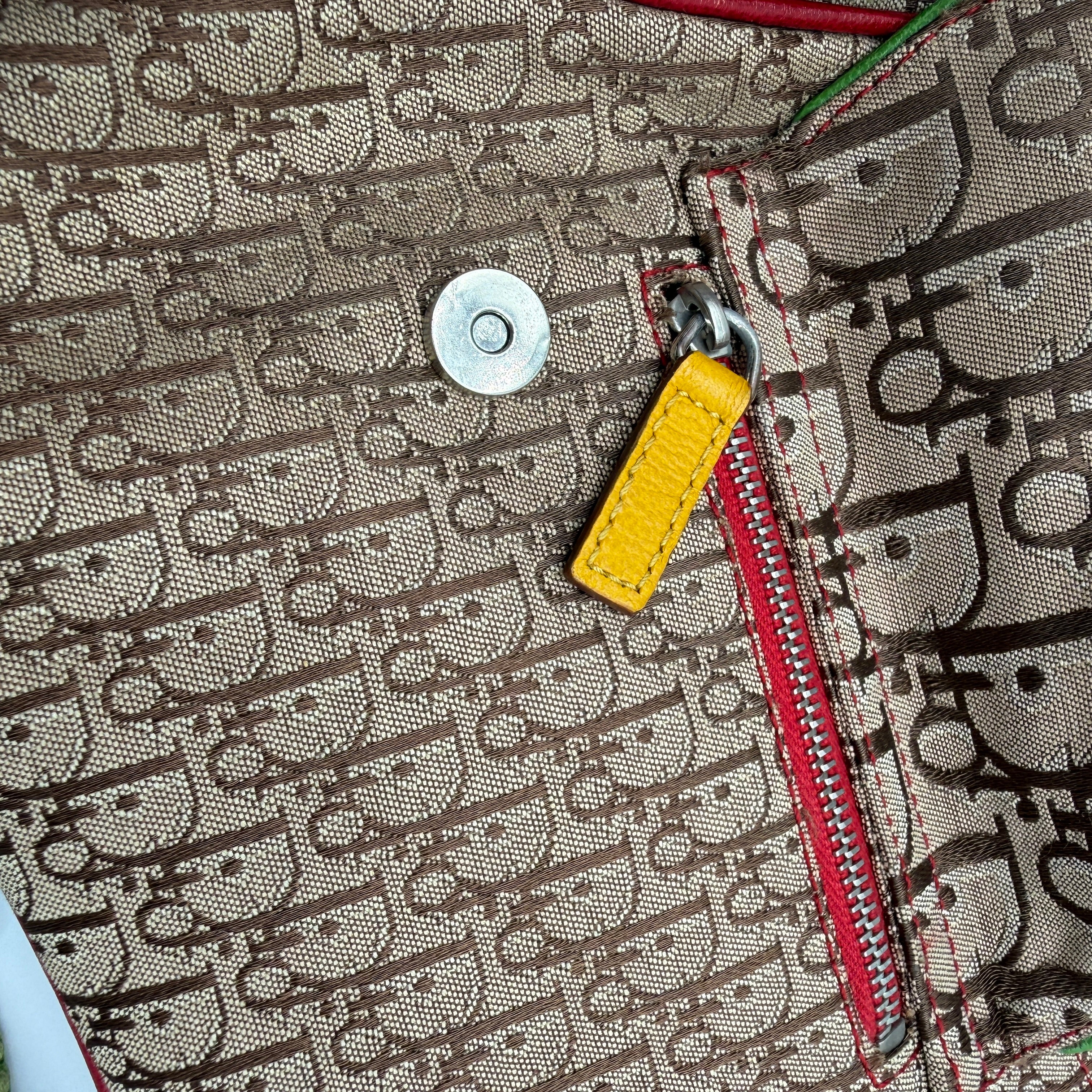 Christian Dior | Saddle Bag | Rasta Trotter Canvas | Silver-Tone Hardware