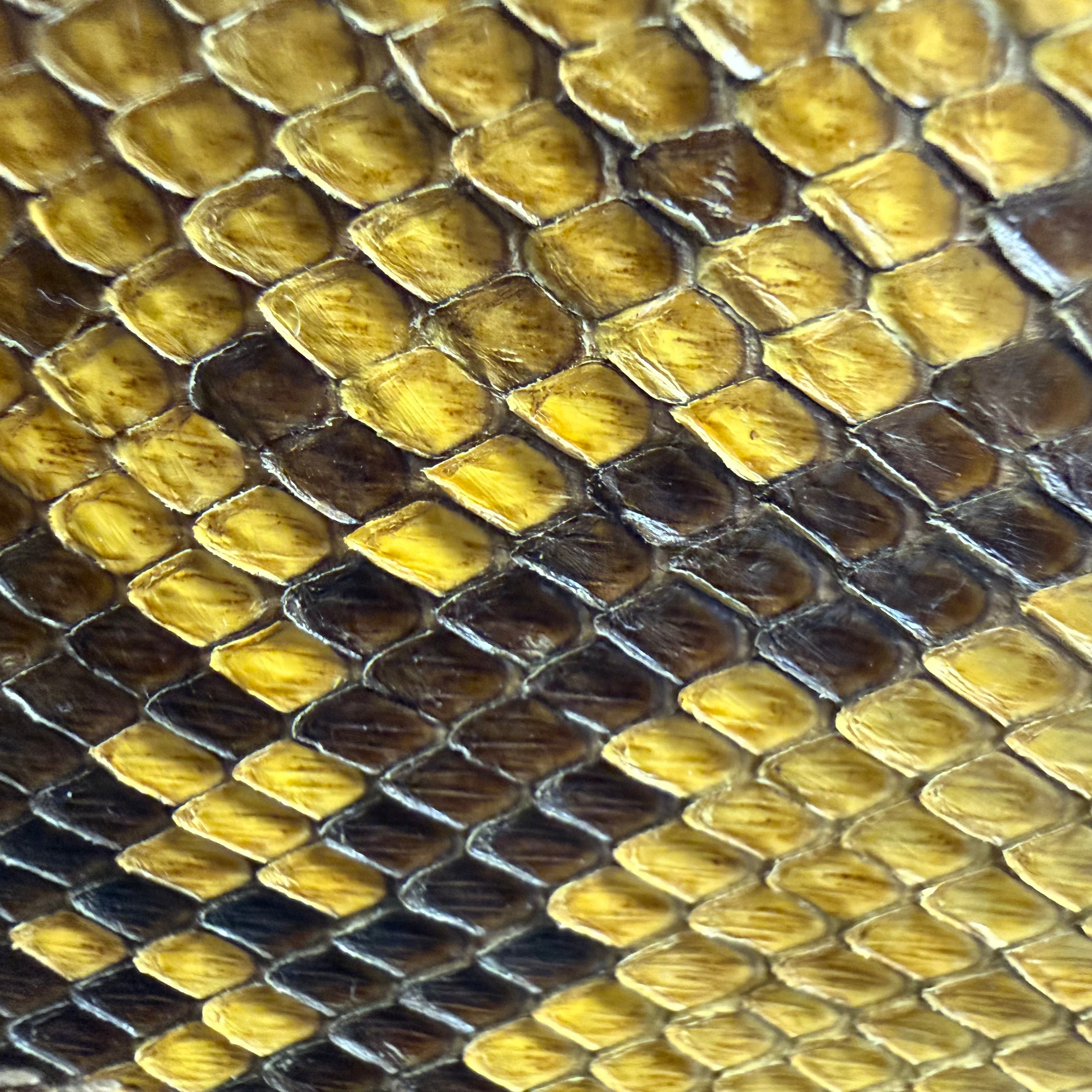 Fendi | Mesh & Python-Trim Tote – Yellow & Black (Pristine Condition)