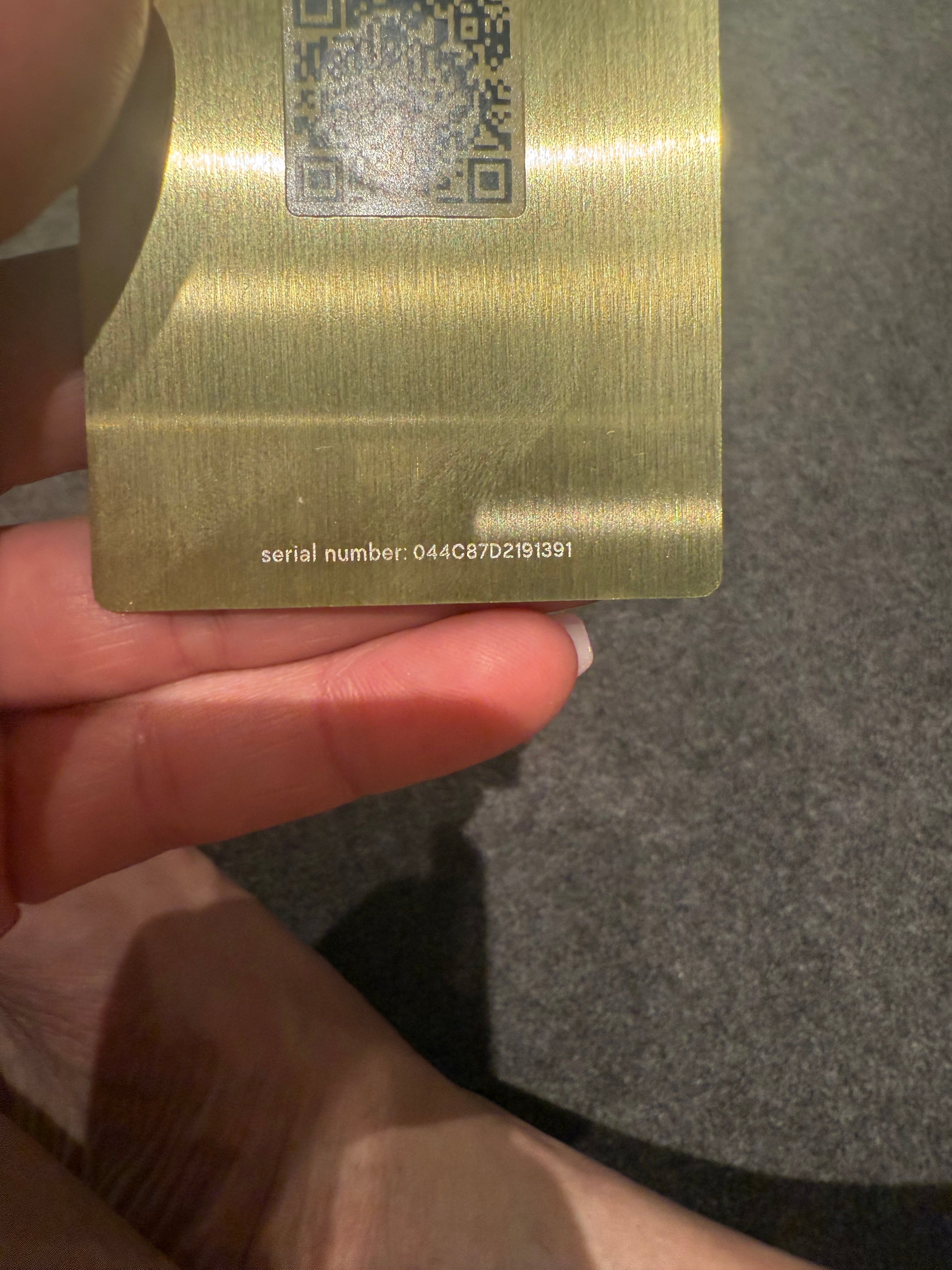 BV - CONS - betijos1